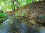 Rzeka Wiercica wije się malowniczo wśród złotopotockich lasów stwarzając wyjątkowy klimat Złotej Krainy Pstrąga.