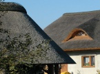 Podlesie- dachy z trzciny, wykonane zgodnie z tradycją, wytrzymują do 100 lat.