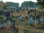 Judaika- zabytkowy kirkut, jeden z największych i najciekawszych jurajskich cmentarzy.